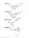 Fig. 02 - METHODS AND COMPOSITIONS FOR DETERMINING ENZYMATIC ACTIVITY
