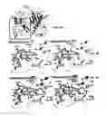 Fig. 07 - METHODS AND COMPOSITIONS FOR DETERMINING ENZYMATIC ACTIVITY