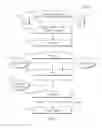 Fig. 06 - Detection of Mycobacterium Tuberculosis Bacilli