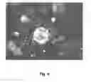 Fig. 07 - MOLDING WITH EMBEDDED COUPLING PARTICLES FOR BIOMOLECULES