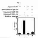 Fig. 05 - Proteins activating pro-phenoloxidase system and genes encoding the same