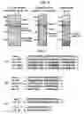 Fig. 09 - Proteins activating pro-phenoloxidase system and genes encoding the same