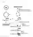 Fig. 02 - Method for highly amplifying target gene in mammalian cell and vector therefor