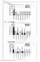 Fig. 06 - Method for highly amplifying target gene in mammalian cell and vector therefor