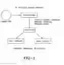 Fig. 02 - MOLECULAR APPROACHES FOR THE OPTIMIZATION OF BIOFUEL PRODUCTION