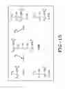 Fig. 16 - MOLECULAR APPROACHES FOR THE OPTIMIZATION OF BIOFUEL PRODUCTION