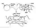 Fig. 01 - RECOMBINANT BACTERIA COMPRISING VECTORS FOR EXPRESSION OF NUCLEIC ACID SEQUENCES ENCODING ANTIGENS