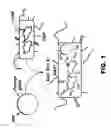 Fig. 02 - RECOMBINANT BACTERIA COMPRISING VECTORS FOR EXPRESSION OF NUCLEIC ACID SEQUENCES ENCODING ANTIGENS