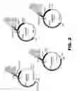 Fig. 03 - RECOMBINANT BACTERIA COMPRISING VECTORS FOR EXPRESSION OF NUCLEIC ACID SEQUENCES ENCODING ANTIGENS