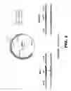 Fig. 04 - RECOMBINANT BACTERIA COMPRISING VECTORS FOR EXPRESSION OF NUCLEIC ACID SEQUENCES ENCODING ANTIGENS