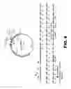 Fig. 07 - RECOMBINANT BACTERIA COMPRISING VECTORS FOR EXPRESSION OF NUCLEIC ACID SEQUENCES ENCODING ANTIGENS