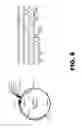 Fig. 09 - RECOMBINANT BACTERIA COMPRISING VECTORS FOR EXPRESSION OF NUCLEIC ACID SEQUENCES ENCODING ANTIGENS
