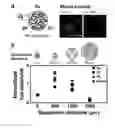 Fig. 06 - Co-incubating confined microbial communities