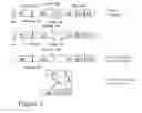 Fig. 06 - Compositions and methods for enhanced expression of recombinant polypeptides from a single vector using a peptide cleavage site