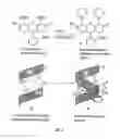 Fig. 05 - Synthetic molecules that specifically react with target sequences