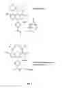 Fig. 08 - Synthetic molecules that specifically react with target sequences