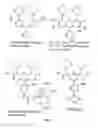 Fig. 12 - Synthetic molecules that specifically react with target sequences