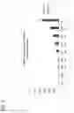 Fig. 06 - Nucleic acid molecules encoding soluble frizzled (FZD) receptors