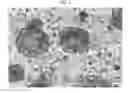 Fig. 02 - SCAFFOLDS  INCREASED SPECIFIC GRAVITY FOR CELL CULTURE AND METHOD FOR MANUFACTURING THEREOF