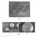 Fig. 02 - Synthetic microcarriers for culturing cells