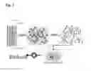 Fig. 02 - METHODS, COMPOSITIONS AND USES FOR ENHANCING CHEMICAL TOLERANCE BY MICROORGANISMS