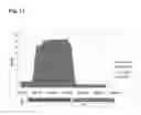 Fig. 22 - METHODS, COMPOSITIONS AND USES FOR ENHANCING CHEMICAL TOLERANCE BY MICROORGANISMS