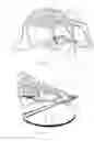 Fig. 09 - DEVICE CAPABLE OF TRANSLATIONAL MOVEMENT OVER A SURFACE