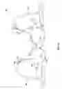 Fig. 06 - Adjustable breast support garment