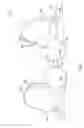 Fig. 07 - Adjustable breast support garment