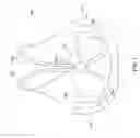Fig. 09 - Adjustable breast support garment