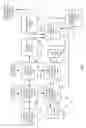 Fig. 03 - Method and apparatus for preparing poultry carcasses for defeathering operations