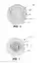 Fig. 04 - GOLF BALLS HAVING LAYERS MADE FROM FUNCTIONALIZED ETHYLENE COPOLYMERS