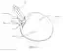 Fig. 02 - Table Tennis Racket or Like Racket Played by Hand Controlled by Fingers and Palm