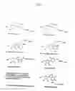 Fig. 02 - Labelled nucleotides