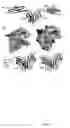 Fig. 03 - Crystal of human glycoprotein VI collagen binding domain