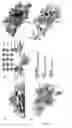 Fig. 05 - Crystal of human glycoprotein VI collagen binding domain