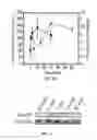 Fig. 07 - BIOPHYSICAL PARAMETERS FOR SYSTEMS BIOLOGY