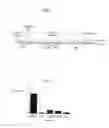 Fig. 09 - METHODS FOR PRODUCING MEMBERS OF SPECIFIC BINDING PAIRS