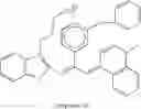 Fig. 53 - Methine-substituted cyanine dye compounds