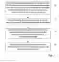 Fig. 02 - Methods, Particles, and Kits for Determining Activity of a Kinase
