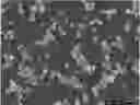 Fig. 01 - Latent hardener for epoxy compositions