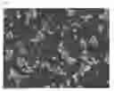 Fig. 02 - Latent hardener for epoxy compositions