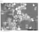 Fig. 04 - Latent hardener for epoxy compositions