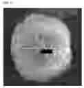 Fig. 05 - Latent hardener for epoxy compositions