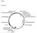 Fig. 02 - Display Vectors and Methods and Uses Thereof