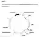 Fig. 08 - Display Vectors and Methods and Uses Thereof