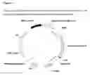 Fig. 09 - Display Vectors and Methods and Uses Thereof