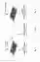 Fig. 07 - High-throughput cell transfection device and methods of using thereof