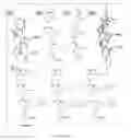 Fig. 02 - Composition and Method for the Treatment of Diseases Affected by a Peptide Receptor