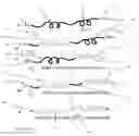 Fig. 09 - Composition and Method for the Treatment of Diseases Affected by a Peptide Receptor
